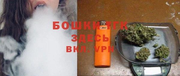 гидра Алексеевка