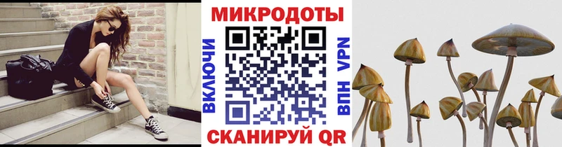 Галлюциногенные грибы MAGIC MUSHROOMS  продажа наркотиков  Казань 